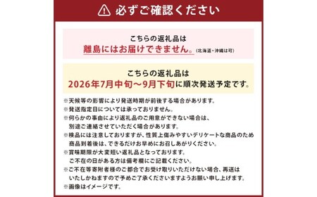 岩手にのへきゅうり【訳アリ・Ｃ品】5kg 【2026年7月中旬から2026年9月下旬発送予定】／訳あり きゅうり キュウリ 胡瓜 野菜 C品 新鮮 採れたて 直送 夏野菜 お取り寄せ 旬 産直 産地直送 二戸市 岩手県 漬物 国産