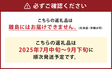 岩手にのへきゅうり【訳アリ・Ｃ品】10kg 【2025年7月中旬から2025年9月下旬発送予定】／訳あり きゅうり キュウリ 胡瓜 野菜 C品 新鮮 採れたて 直送 夏野菜 お取り寄せ 旬 産直 産地直送 二戸市 岩手県 漬物 国産