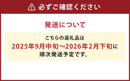 【厳選品】岩手にのへじゃがいも「伝」キタアカリ (サイズ混合) 5kg 【2025年9月中旬から2026年2月下旬発送予定】/ジャガイモ じゃがいも 芋 イモ 野菜 お取り寄せ 産地直送