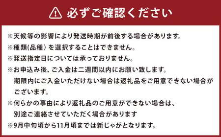 【厳選品】岩手にのへじゃがいも「伝」キタアカリ (サイズ混合) 5kg 【2025年9月中旬から2026年2月下旬発送予定】/ジャガイモ じゃがいも 芋 イモ 野菜 お取り寄せ 産地直送