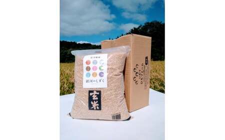 【令和7年産】二戸市産『銀河のしずく』玄米 5kg/ 米 玄米 ご飯 ごはん 岩手県 お取り寄せ 農家 産地直送