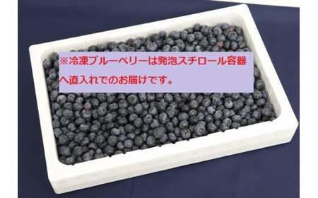 二戸産 冷凍 ブルーベリー 約2kg （無選別）／フルーツ 果物 くだもの ベリー【2025年7月下旬より順次発送予定】