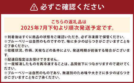 二戸産 冷凍 ブルーベリー 約2kg （無選別）／フルーツ 果物 くだもの ベリー【2025年7月下旬より順次発送予定】