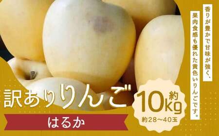 訳あり りんご（はるか） 約10kg ／りんご 林檎 果物 くだもの フルーツ 岩手県産 【2025年12月下旬－2026年1月下旬発送予定】