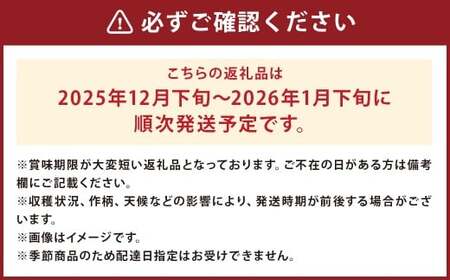 訳あり りんご（はるか） 約10kg ／りんご 林檎 果物 くだもの フルーツ 岩手県産 【2025年12月下旬－2026年1月下旬発送予定】
