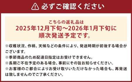 訳あり りんご （シナノゴールド） 約10kg／リンゴ 林檎 フルーツ くだもの 果物 果実 わけあり お取り寄せ 【2025年12月下旬－2026年1月下旬発送予定】