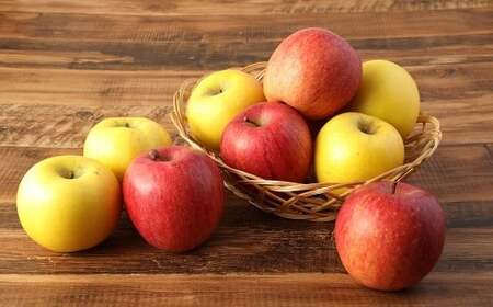 二戸産りんご サンふじ&シナノゴールド 約3kg (9~11玉) /りんご リンゴ 林檎 フルーツ 果物 旬 お取り寄せ 食べ比べ 【2025年12月発送予定】