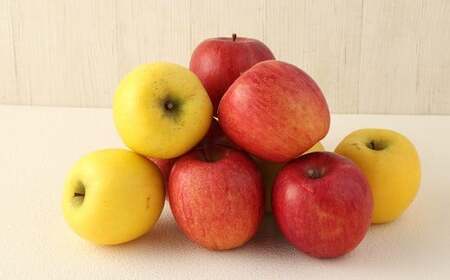 二戸産りんご サンふじ&シナノゴールド 約3kg (9~11玉) /りんご リンゴ 林檎 フルーツ 果物 旬 お取り寄せ 食べ比べ 【2025年12月発送予定】