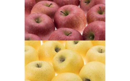 二戸産りんご サンふじ&シナノゴールド 約3kg (9~11玉) /りんご リンゴ 林檎 フルーツ 果物 旬 お取り寄せ 食べ比べ 【2025年12月発送予定】