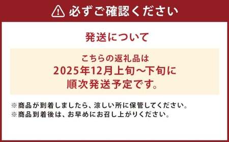 二戸産 カシオペア そばかす冬恋はるか 約2.5kg 【2025年12月上旬-下旬発送予定】 ／林檎 リンゴ フルーツ 果物 はるか お取り寄せ 蜜入り 糖度15度以上 サビあり