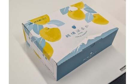 二戸産 カシオペア 純情はるか 約2.5kg （個数：8個～11個） 【2025年12月上旬～下旬発送予定】 ／ 林檎 リンゴ フルーツ 果物 はるか 国産フルーツ 岩手県 二戸市 常温