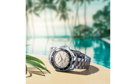 SBDC201 「セイコープロスペックス」 メカニカル ／ 腕時計 機械式腕時計 時計 ウオッチ ウォッチ watch メンズ SEIKO