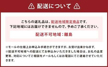 【南部美人】特別純米酒 干支ラベル2026（午年）720ml×1／贈答品 お祝い お正月 限定ラベル お酒 日本酒 ギフト お取り寄せ