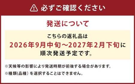 【厳選品】岩手にのへじゃがいも「伝」3～4種 品種おまかせ (サイズ混合) 5kg 【2026年9月中旬から2027年2月下旬発送予定】／ジャガイモ じゃがいも 芋 イモ ポテト 野菜 お取り寄せ 農家 産地直送 食べ比べ
