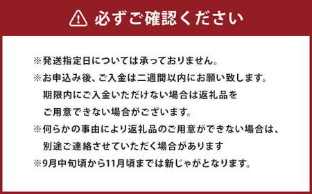 【厳選品】岩手にのへじゃがいも「伝」3～4種 品種おまかせ (サイズ混合) 5kg 【2026年9月中旬から2027年2月下旬発送予定】／ジャガイモ じゃがいも 芋 イモ ポテト 野菜 お取り寄せ 農家 産地直送 食べ比べ
