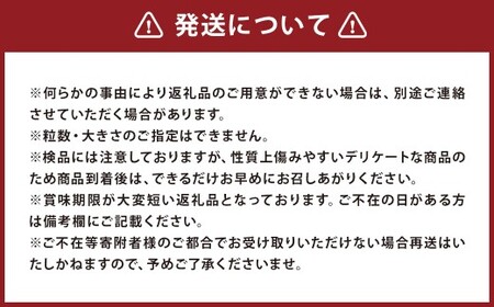 【訳あり】夏野菜セット3品【ミニトマト・なす・きゅうり】【2026年7月下旬～8月下旬発送予定】／ミニトマト トマト フルーツトマト なす きゅうり セット 野菜セット 詰め合わせ 詰合せ 野菜詰め合わせ 野菜詰合せ 野菜 夏野菜 直送 岩手県 二戸市