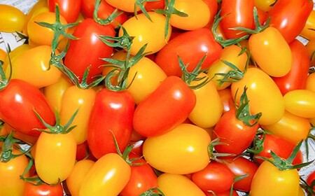 【訳あり】夏野菜セット3品【ミニトマト・なす・きゅうり】【2026年7月下旬～8月下旬発送予定】／ミニトマト トマト フルーツトマト なす きゅうり セット 野菜セット 詰め合わせ 詰合せ 野菜詰め合わせ 野菜詰合せ 野菜 夏野菜 直送 岩手県 二戸市