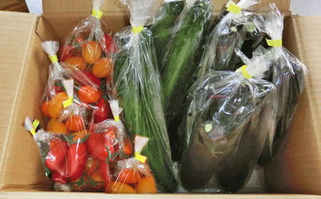 【訳あり】夏野菜セット3品【ミニトマト・なす・きゅうり】【2026年7月下旬～8月下旬発送予定】／ミニトマト トマト フルーツトマト なす きゅうり セット 野菜セット 詰め合わせ 詰合せ 野菜詰め合わせ 野菜詰合せ 野菜 夏野菜 直送 岩手県 二戸市