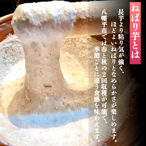 ＜12月上旬発送開始予定＞ 岩手県産 敦子さんが育てたねばり芋 6kg ／ 長いも 長芋 ながいも ねばり芋 ねばりいも 山芋 やまいも 山いも やま芋 農家直送 産地直送 とろろ とろろご飯 ご飯のおとも ご飯のお供 やまかけ 山かけ 旬 新鮮 野菜 八幡平市産