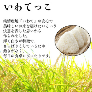 【2024年11月発送開始】 令和6年産 新米 岩手県産 いわてっこ 精米 5kg×1袋 ／ 米 白米 産地直送 農家直送 【せの畑】