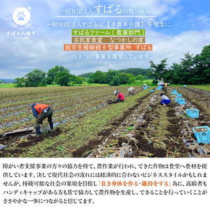 オーガニックにんにく使用 すばるファームの黒にんにく150g ／ 黒にんにく 黒ニンニク にんにく ニンニク 大蒜 ガーリック オーガニック 岩手県産にんにく 八幡平市産にんにく 八幡平バイオレット 数量限定 美味しい おいしい 自宅用 家庭用