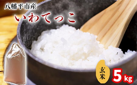 【令和7年産】 いわてっこ 玄米 5kg ／ 中沢農産 こめ 米 コメ お米 おこめ ご飯 ごはん げんまい おにぎり お弁当 仕送り お取り寄せ 産地直送 農家直送 単一原料米 国産 国産米 東北 岩手県産 八幡平市産 おすすめ