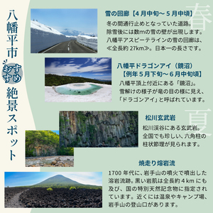 八幡平市共通宿泊補助券 （10000円相当） ／ 選べる 宿泊施設 共通 宿泊 宿泊補助券 補助券 宿 お宿 ホテル 温泉 温泉宿 温泉旅館 旅館 民宿 ペンション トラベル 旅行 旅 観光 観光旅行 泊まり お泊り 国内旅行 東北 岩手県 八幡平市 おすすめ
