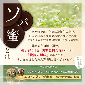 純粋はちみつ 130g 4種食べ比べ 【山本養蜂場】 ／ ハチミツ 蜂蜜 栃 とち そば 百花蜜