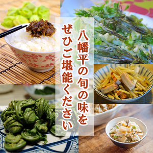 【5月上旬発送開始予定】 期間限定 天然山菜 食べ比べセット 約600g ／ 山菜 春の山菜 春 さんさい 旬 春の味覚 食べ比べ 味比べ セット 季節物 季節野菜 旬野菜 春野菜 春の野菜 山菜セット 詰め合わせ 詰合せ てんぷら 天ぷら 天婦羅 産地直送 季節限定 数量限定 じじちゃん おすすめ オススメ