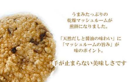 八幡平マッシュルームおこげ＆八幡平ホワイトマッシュDRYの詰合せ ／ マッシュルーム マッシュルームチップ せんべい 煎餅 スープ お菓子 おこげ 乾燥きのこ きのこ キノコ 茸 セットドライ 天然だし 料理 岩手県産 おすすめ オススメ 【ジオファーム】