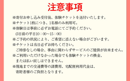 ワークショップ体験チケット（10月～2月使用可能） ／ りんどう ドライフラワー ハンドメイド インテリア ハーバリウム キャンドル クラフト 可愛い かわいい プレゼント おしゃれ 誕生日 贈り物 記念日 体験 チケット おすすめ オススメ 【花っ娘】