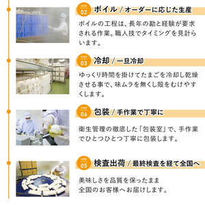 マジックパール 味付ゆでたまご（2個入り× 11パック）+割れ保障（2個入り× 1パック） ／ 国産 八幡平 市 工場 直送 ゆで たまご 卵 玉子 タマゴ 味付き 味 合計 24 個 合計 12 パック