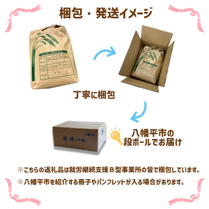 【令和7年産】 天日干し米 ひとめぼれ 精米 5kg ／ 伊藤一夫 こめ 米 コメ お米 おこめ ご飯 ごはん 白米 白飯 おにぎり お弁当 仕送り お取り寄せ 産地直送 単一原料米 国産 国産米 東北 岩手県産 八幡平市産 おすすめ