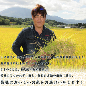 【令和7年産】 新米 10月中旬発送開始予定 白銀のひかり  （岩手141号）  玄米 5kg ／ かきのうえ こめ 米 コメ お米 おこめ げんまい ごはん おにぎり お弁当 仕送り お取り寄せ 産地直送 農家直送 単一原料米 国産 国産米 東北 岩手県産 八幡平市産 おすすめ