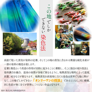 【八幡平GEOCOLOR】 八幡平地熱蒸気染色 ワークショップ 体験チケット 2名様分 ／ 地熱染め 体験教室 現地で体験 手絞り 手染め 染物 染め物 染色 体験型 体験 チケット 染色体験 染物体験 染物教室 手作り 手づくり 子供 こども 子ども 大人 ジオカラー おすすめ 東北 岩手県 八幡平市