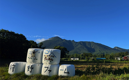 【八幡平ひつじ】 羊肉 スライス おまかせ 300g ラム または マトン ／ 羊肉 ひつじ肉 ジンギスカン グルメ ヘルシー お取り寄せ お取寄せ 自宅用 家庭用 冷凍発送 真空パック 焼肉 焼き肉 BBQ バーベキュー 人気 国産 岩手県産 八幡平市産 おすすめ オススメ 狩野ファーム 松っちゃん市場