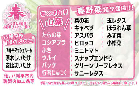 【旬の野菜セット】八幡平のふるさと産直箱（小）12ヶ月定期便 ／ 野菜 定期便 採れたて 新鮮 おまかせ 詰合せ 詰め合わせ 野菜の詰合せ セット やさい 季節 旬 産直箱 産地直送 葉物 自宅用 家庭用 お取り寄せ 人気 おすすめ オススメ 【あすぴーて】