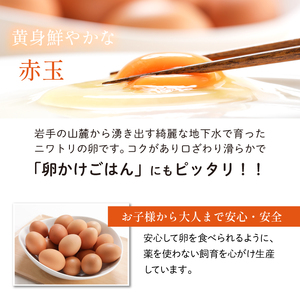 【豊洋卵】黄身鮮やかな赤玉30個／遠藤鶏卵 新鮮 八幡平市