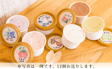 変わり種ジェラートセット 5種 計12個入り 【アイス工房Nollegretto】 ／ ジェラート アイス アイスクリーム スイーツ デザート カップアイス カップ入り カップジェラート ミルク 玄米 甘酒 あいす セット 詰め合わせ おすすめ ノレグレット