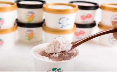 変わり種ジェラートセット 5種 計12個入り 【アイス工房Nollegretto】 ／ ジェラート アイス アイスクリーム スイーツ デザート カップアイス カップ入り カップジェラート ミルク 玄米 甘酒 あいす セット 詰め合わせ おすすめ ノレグレット