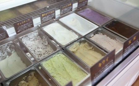 変わり種ジェラートセット 5種 計12個入り 【アイス工房Nollegretto】 ／ ジェラート アイス アイスクリーム スイーツ デザート カップアイス カップ入り カップジェラート ミルク 玄米 甘酒 あいす セット 詰め合わせ おすすめ ノレグレット