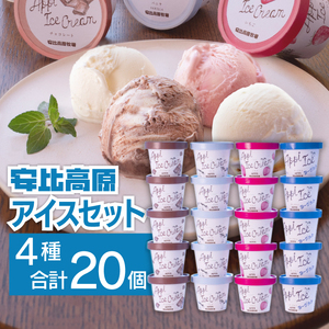 【安比高原】 アイスセット 20個入り（M-20Y）／ APPI 安比高原牧場 カップアイス アイスクリーム デザート