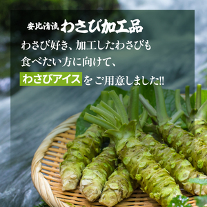 安比清流わさびアイス 5個セット 【安比清流山葵園】 ／ アイス 山葵 わさび ワサビ アイスクリーム スイーツ デザート ジェラート カップ入り カップアイス おやつ 八幡平市産わさび使用 岩手県産わさび使用 爽やか さわやか 珍しい グルメ おすすめ オススメ