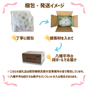 安比清流わさびアイス 5個セット 【安比清流山葵園】 ／ アイス 山葵 わさび ワサビ アイスクリーム スイーツ デザート ジェラート カップ入り カップアイス おやつ 八幡平市産わさび使用 岩手県産わさび使用 爽やか さわやか 珍しい グルメ おすすめ オススメ