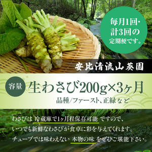  岩手県産 生わさび 200g 定期便3ヶ月【安比清流山葵園】 ／ 山葵 ワサビ わさび 薬味 国産 八幡平市産 産地直送 新鮮 調味料 お肉 蕎麦 和え物 漬け物 刻み おろし 辛味 お寿司 そば 肉の薬味 魚の薬味 そばの薬味 おすすめ オススメ