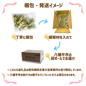 岩手県産 生わさび 200g 定期便3ヶ月【安比清流山葵園】 ／ 山葵 ワサビ わさび 薬味 国産 八幡平市産 産地直送 新鮮 調味料 お肉 蕎麦 和え物 漬け物 刻み おろし 辛味 お寿司 そば 肉の薬味 魚の薬味 そばの薬味 おすすめ オススメ