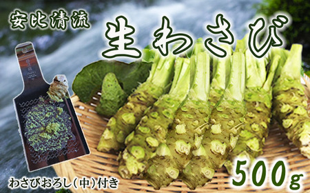 AE-011 生わさび450g&ステンレスわさびおろし(中) セット【安比清流山葵園】