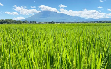 【2024年11月発送開始】 令和6年産 新米 岩手県産 ひとめぼれ 精米 10kg （5kg×2袋） ／ 白米 米 産地直送 農家直送 【中沢農産】