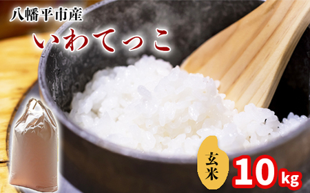 令和7年産】 いわてっこ 玄米 10kg （5kg×2袋） ／ 中沢農産 こめ 米