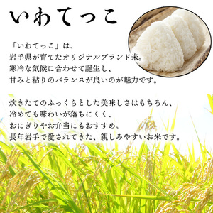令和7年産】 いわてっこ 玄米 10kg （5kg×2袋） ／ 中沢農産 こめ 米